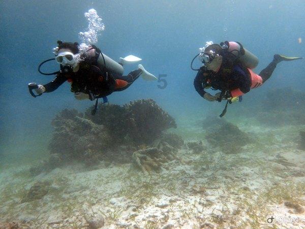 永远的挑战者:400年俄罗斯从弱到强横贯4大国际体系